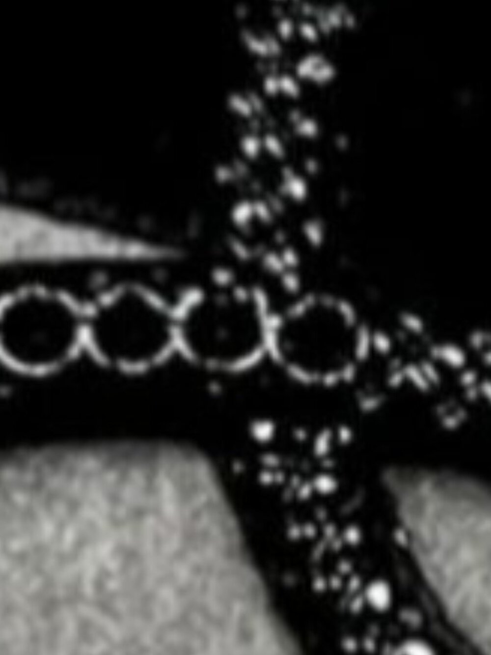 Snake in the grass choker by Courtney Paige Nelson - Picture 1 of 1
